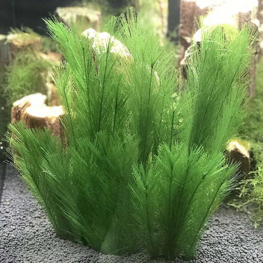 Live Plant Aquarium - 1/3Pcs 28/40 ซม.Aquarium Fish Tank หญ้าน้ําประดิษฐ์น้ําพืชภูมิทัศน์ตกแต่งใต้น้ําพืชน้ําวัชพืชเครื่องประดับ