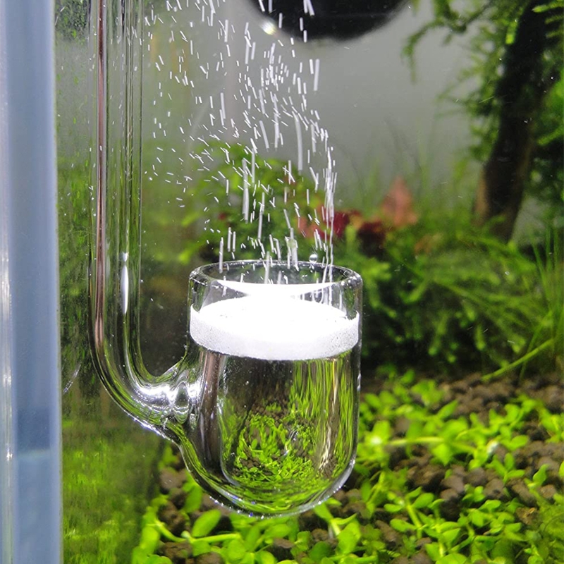 Aquarium Liquid Carbon - D0AD แก้ว CO2 Diffuser สำหรับพิพิธภัณฑ์สัตว์น้ำปลูกสำหรับถัง Simple