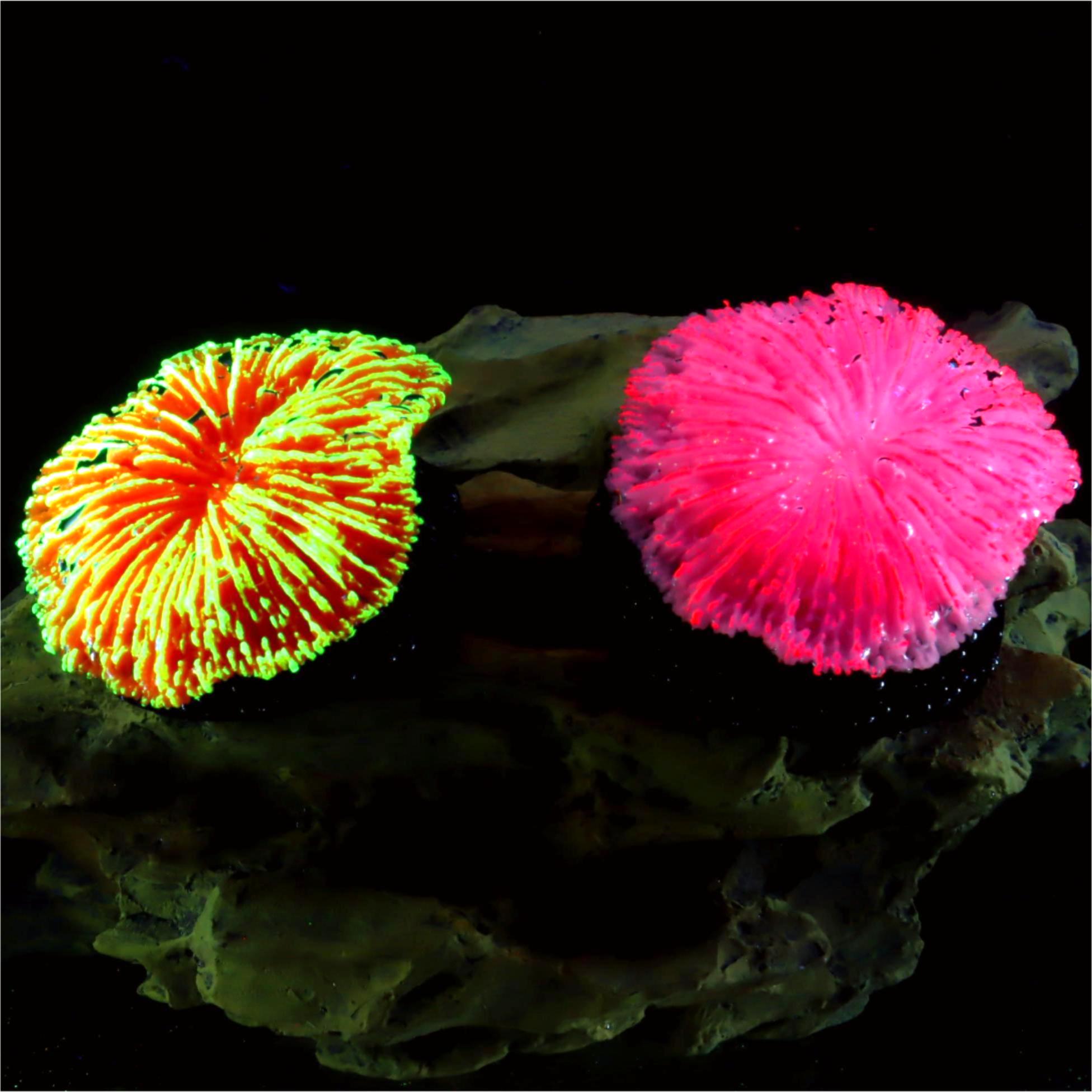 Live Plant Aquarium - 1 ชิ้น ของตกแต่งตู้ปลา ปะการังเล็กเรืองแสง สำหรับจัดแต่งตู้ปลา