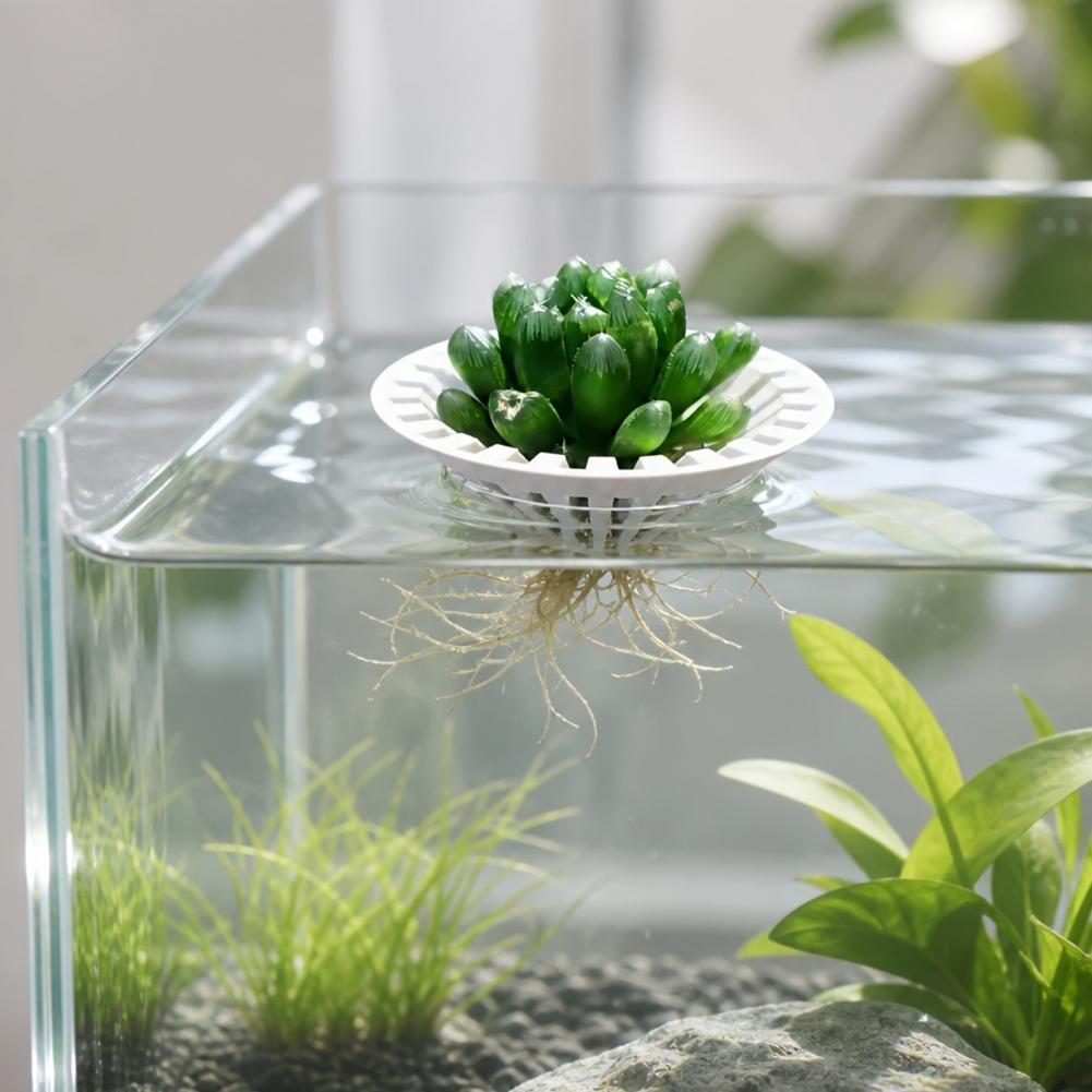 Aquarium Plant Holder - กระถางปลูกพืชน้ำแบบไฮโดรโปนิกส์สำหรับตู้ปลา ที่วางต้นไม้ลอยน้ำในตู้ปลาแบบพิมพ์ 3 มิติ ตะกร้าปลูกพืชน้ำสำหรับตู้ปลา จัดสวนน้ำ