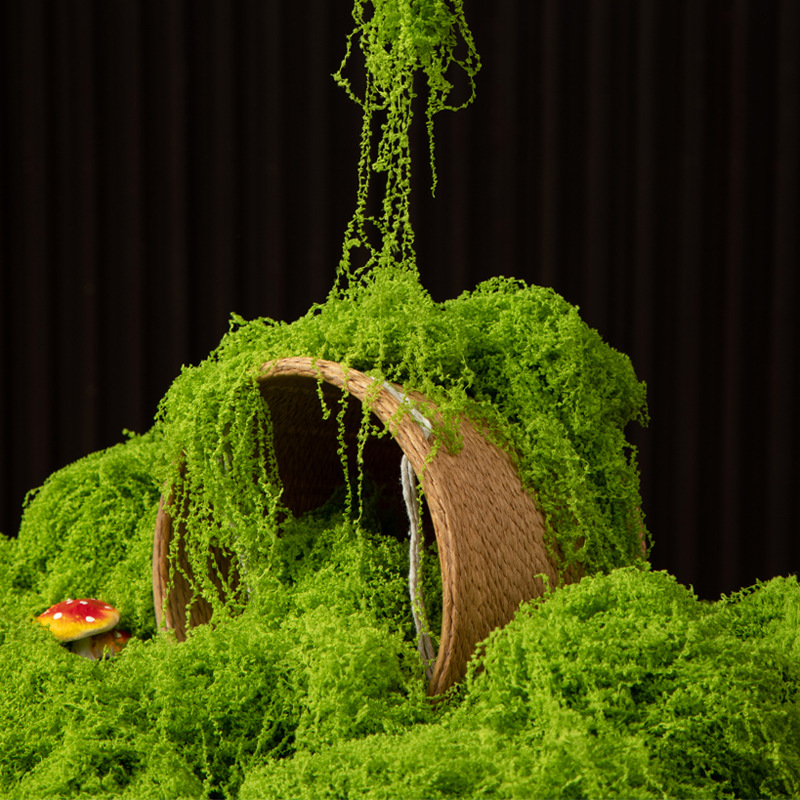 Aquarium Moss - มอสอมตะ 200 กรัม สำหรับงาน DIY ตกแต่งบ้าน