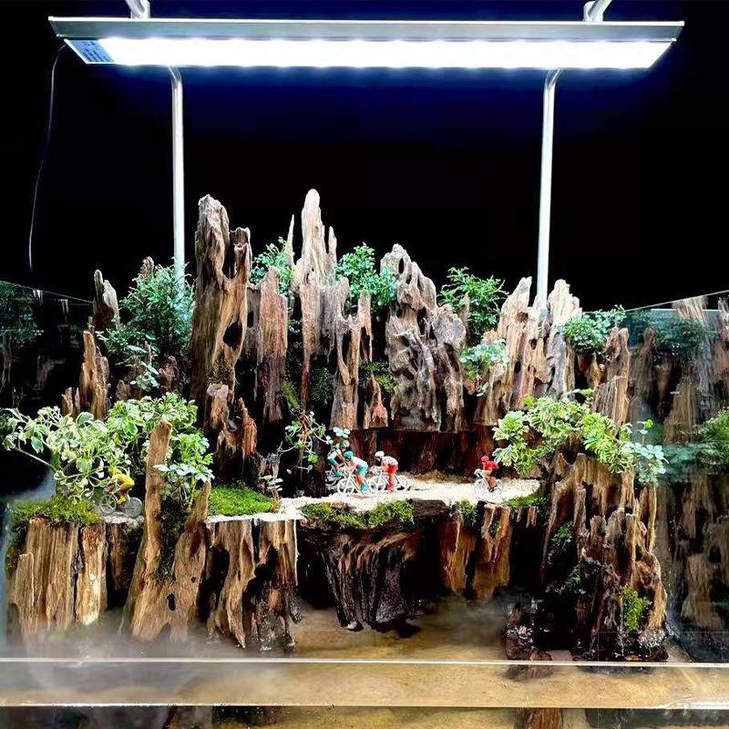 Aquarium Driftwood - ไม้ตกแต่งตู้ปลาสำหรับกุ้ง, ไม้ลอยน้ำตกแต่งตู้ปลาพร้อมรูธรรมชาติ เหมาะสำหรับกุ้ง