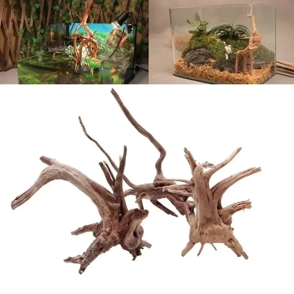 Aquarium Driftwood - ไม้ลอยน้ำธรรมชาติขนาด 15-20 ซม. สำหรับตกแต่งตู้ปลา - ของตกแต่งตู้ปลาคุณภาพพรีเมียม