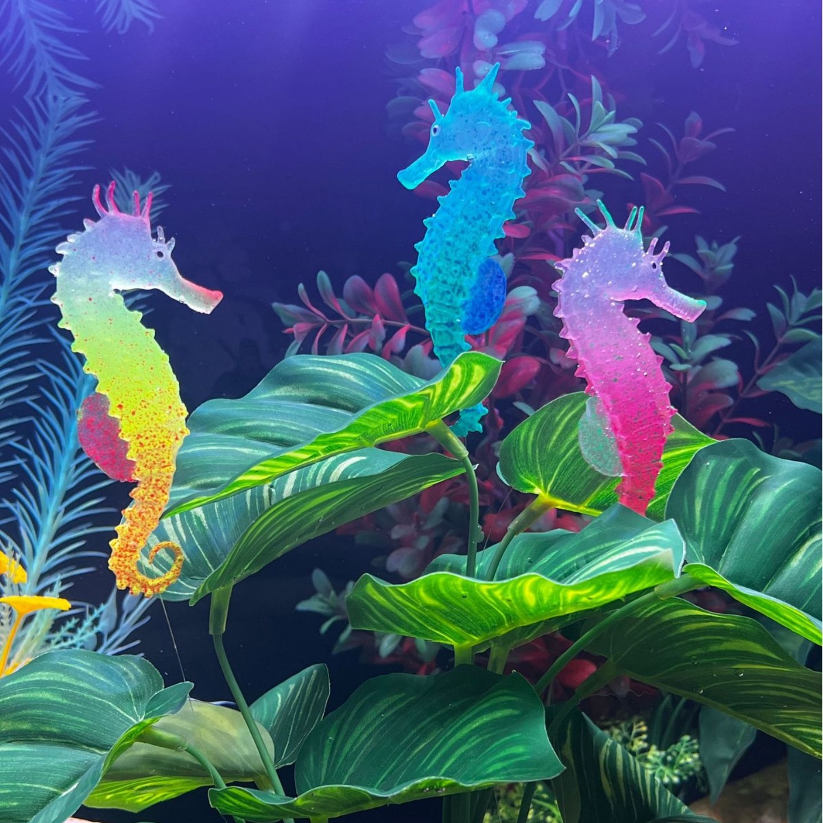 Aquarium Plant Substrate - ของตกแต่งตู้ปลาจำลองรูปม้าน้ำเรืองแสง, ของตกแต่งปลาปลอม, ของตกแต่งพื้นทะเลในตู้ปลา