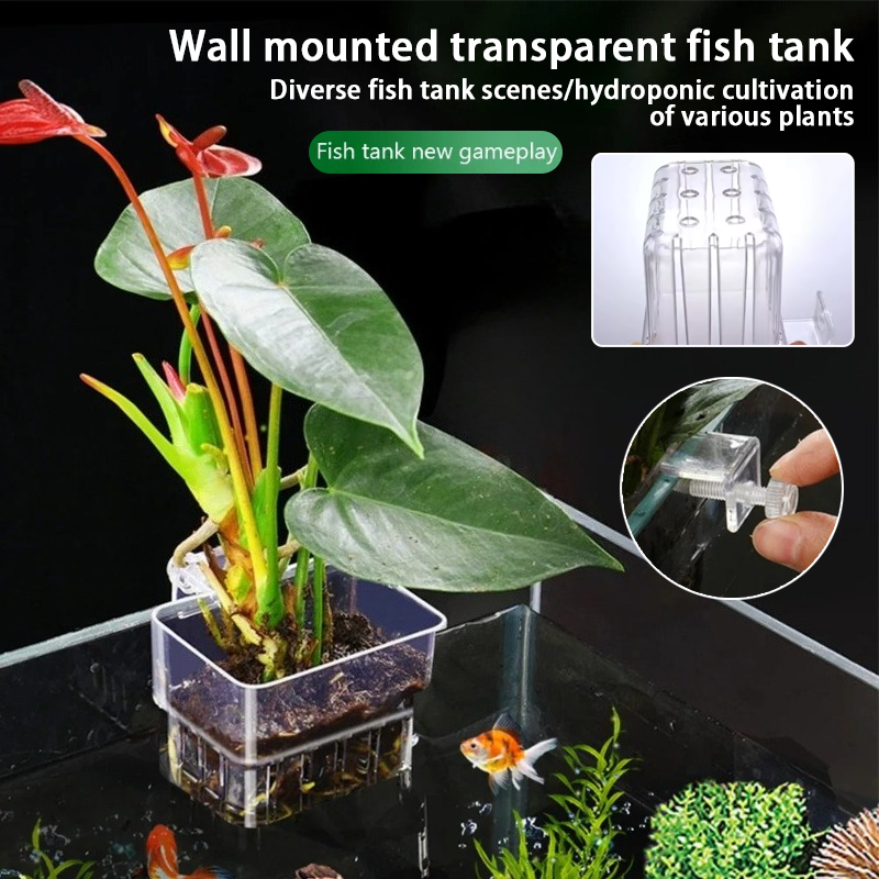 Plant Aquarium Pot - กระถางแขวนติดผนังสำหรับปลูกพืชน้ำในตู้ปลา ตะกร้าปลูกพืชน้ำในตู้ปลา กระถางปลูกพืชน้ำในตู้ปลา