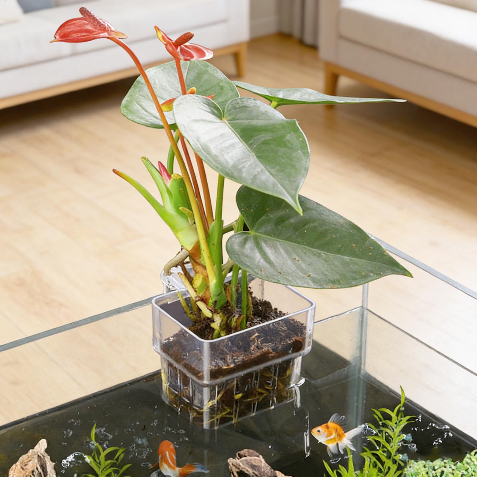 Plant Aquarium Pot - ตะกร้าปลูกต้นไม้ในตู้ปลา กระถางแขวนตกแต่งตู้ปลาแบบใส ที่ใส่ต้นไม้น้ำ ถ้วยปลูกต้นไม้น้ำ กระถางปลูกต้นไม้ในตู้ปลา
