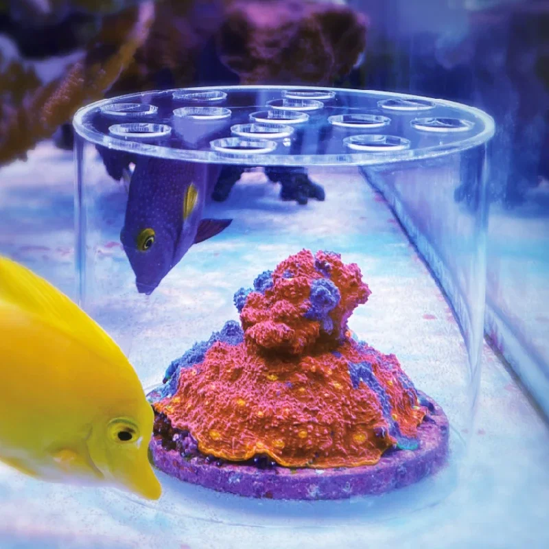 Aquarium Fertilizer - อุปกรณ์ป้อนอาหารปะการังอะคริลิค Vastocean พร้อมฝาครอบสำหรับใส่ปุ๋ยน้ำ สำหรับตู้ปลาทะเลและน้ำจืด