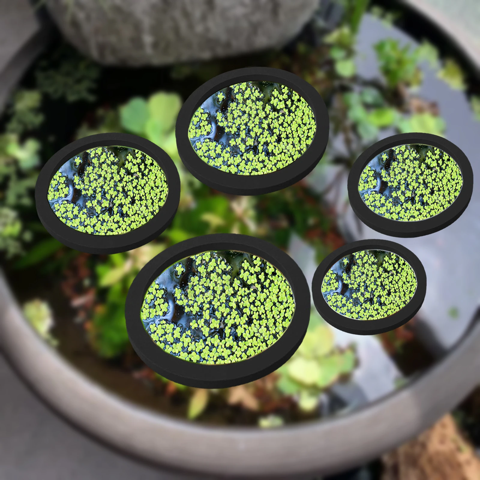 Planted Tank - 5 ชิ้น EVA ปลา Feeding แหวน