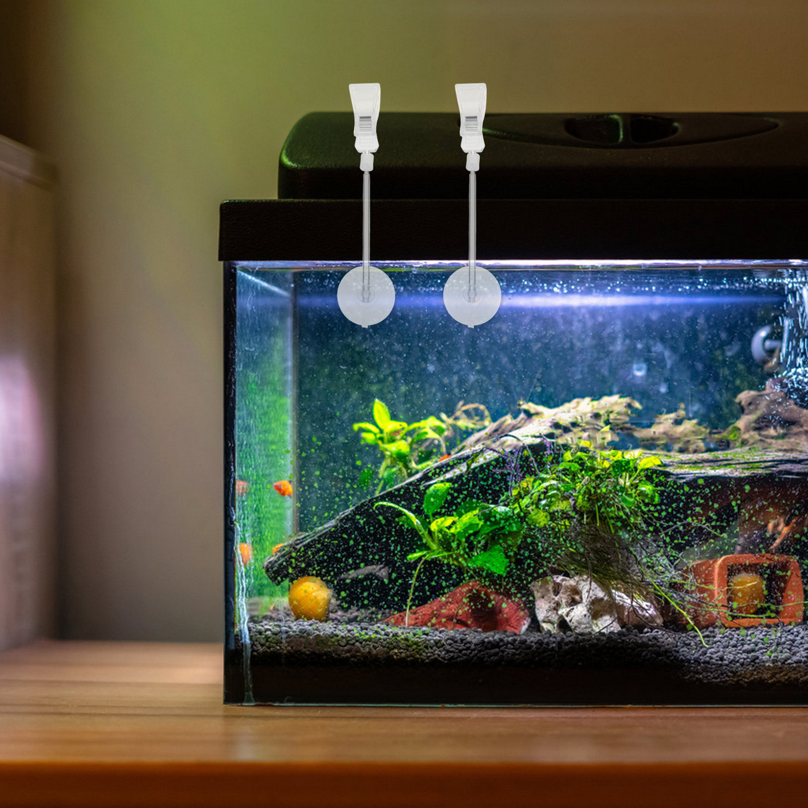 Aquarium Plant Holder - 3 ชิ้น คลิปยึดสายยางตู้ปลา คลิปยึดต้นไม้ตู้ปลา แบบจุ๊บติดตู้ปลา สำหรับฮาโลวีน
