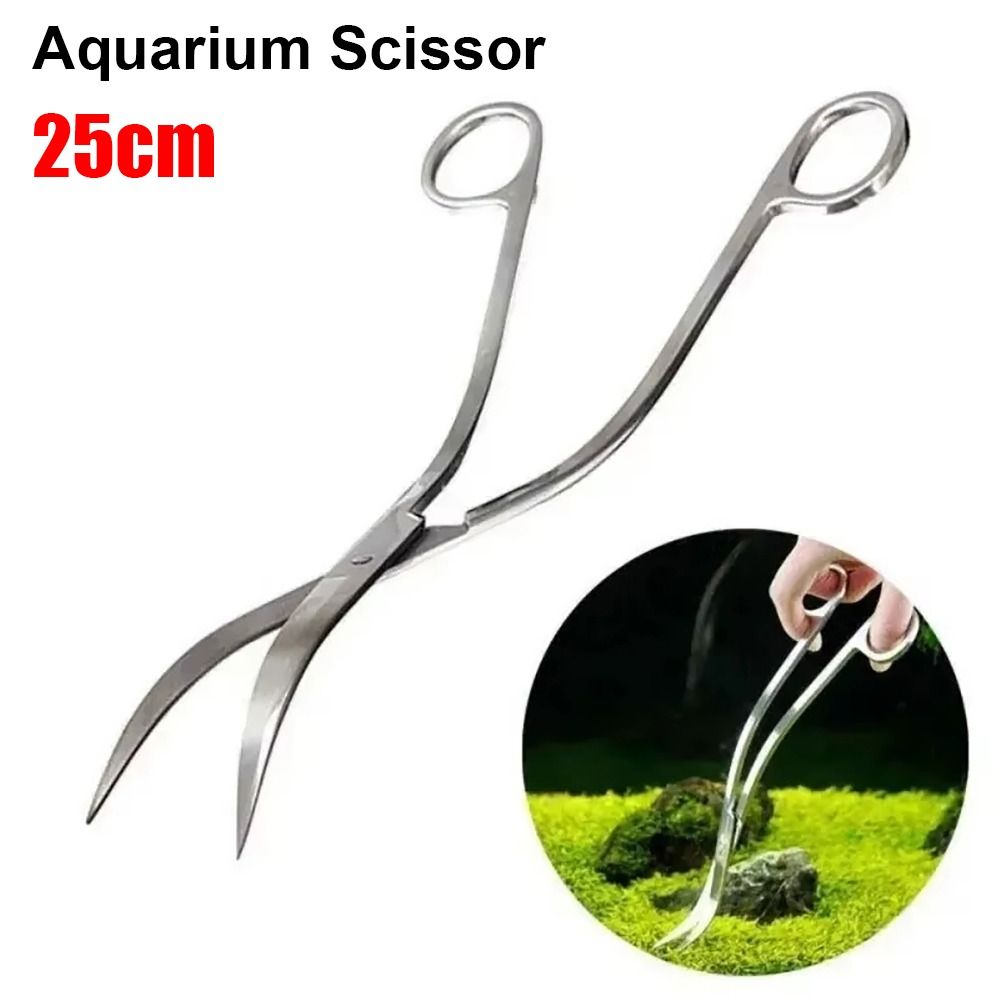 Planted Aquarium Cleaning - กรรไกรตัดหญ้าในตู้ปลา สแตนเลส 1 ชิ้น แบบตรงและโค้ง 25