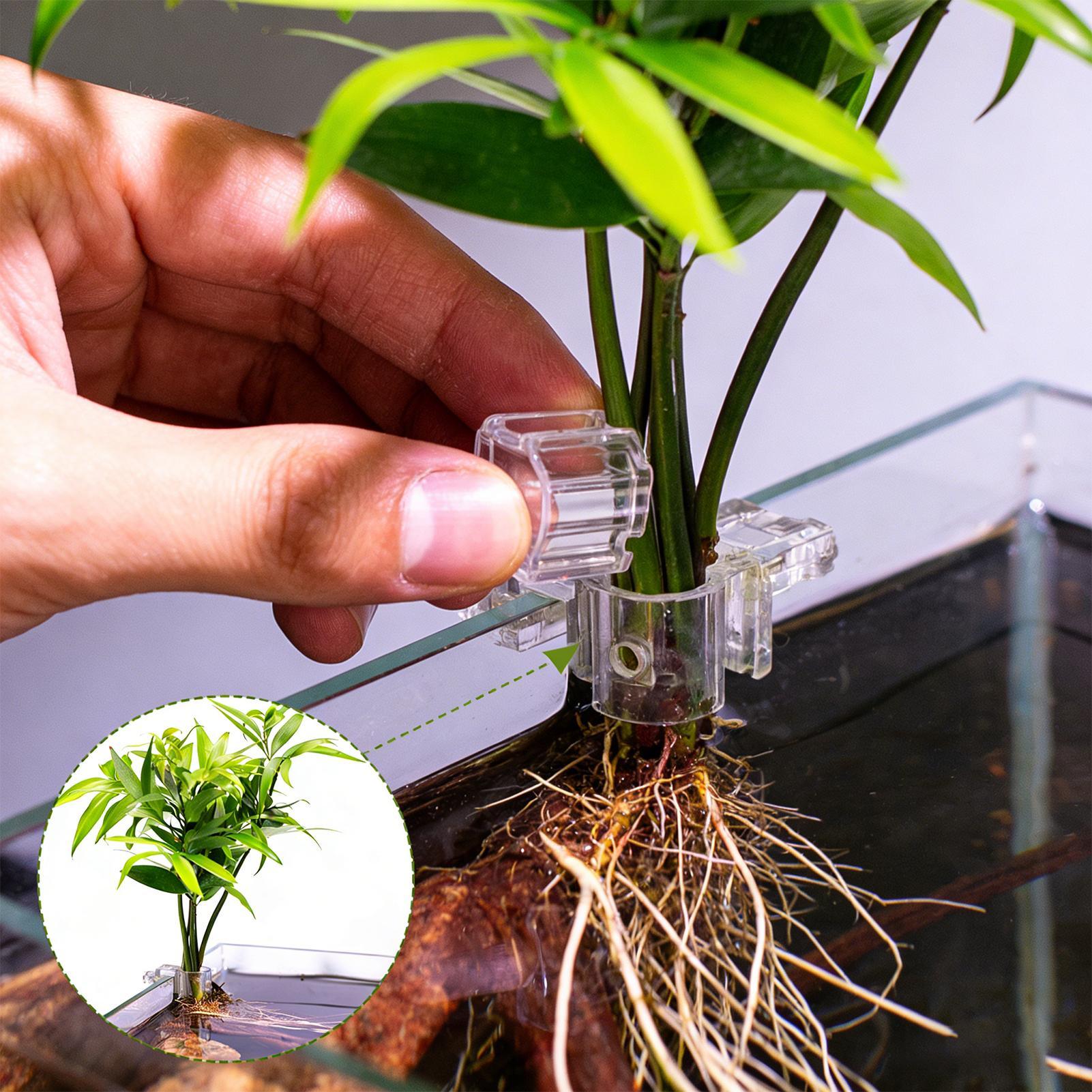 Aquarium Plants Live - ที่แขวนต้นไม้ในตู้ปลาแบบใส 6 ชิ้น ถ้วยปลูกต้นไม้แบบแขวนสำหรับตู้ปลา สำหรับปลูกพืชในบ้าน