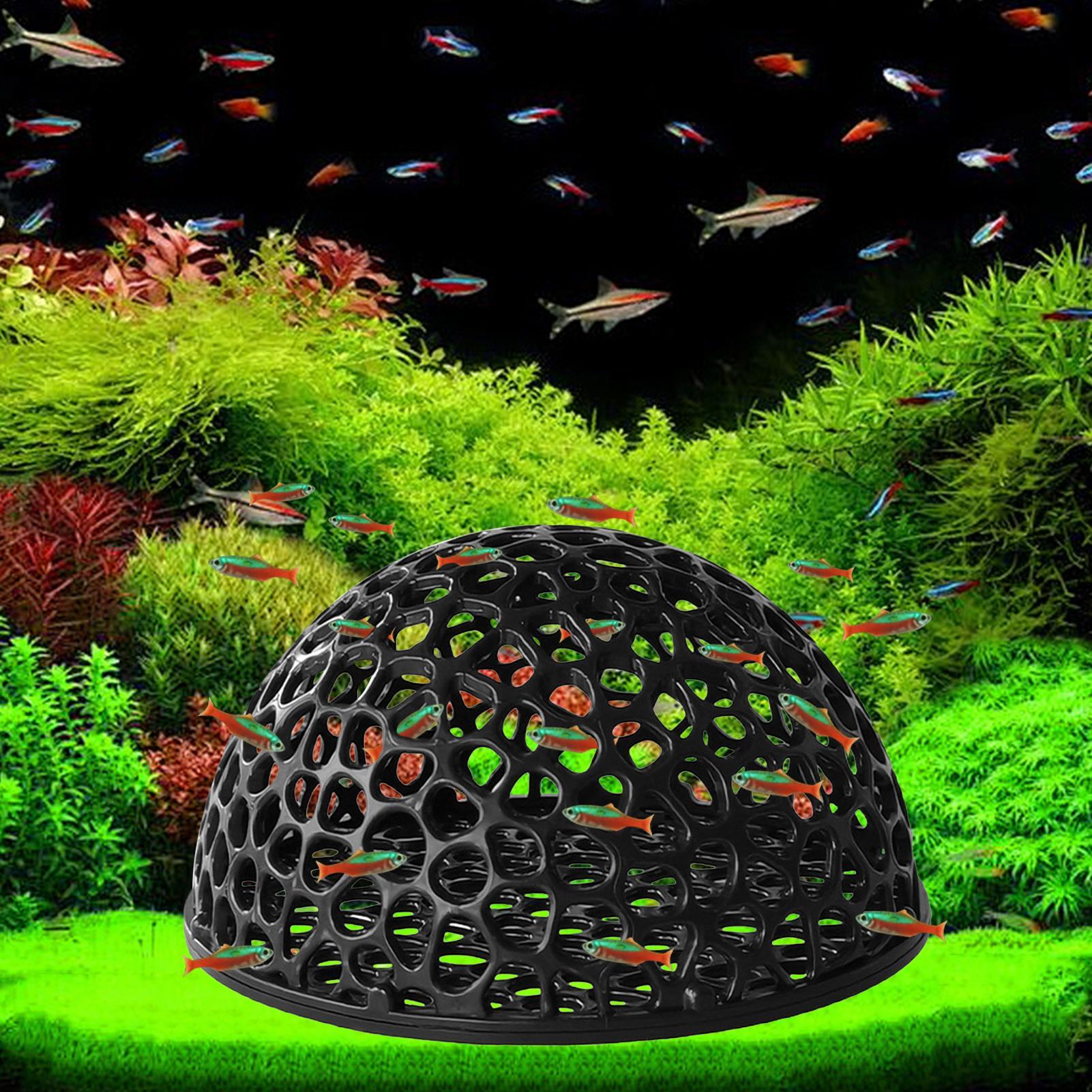 Aquarium Plants Live - บ้านกุ้งในตู้ปลา รูปทรงถ้ำขนาดเล็ก แบบมีรูพรุน สำหรับปลาเบต้า ที่ซ่อนตัว ที่พักพิง