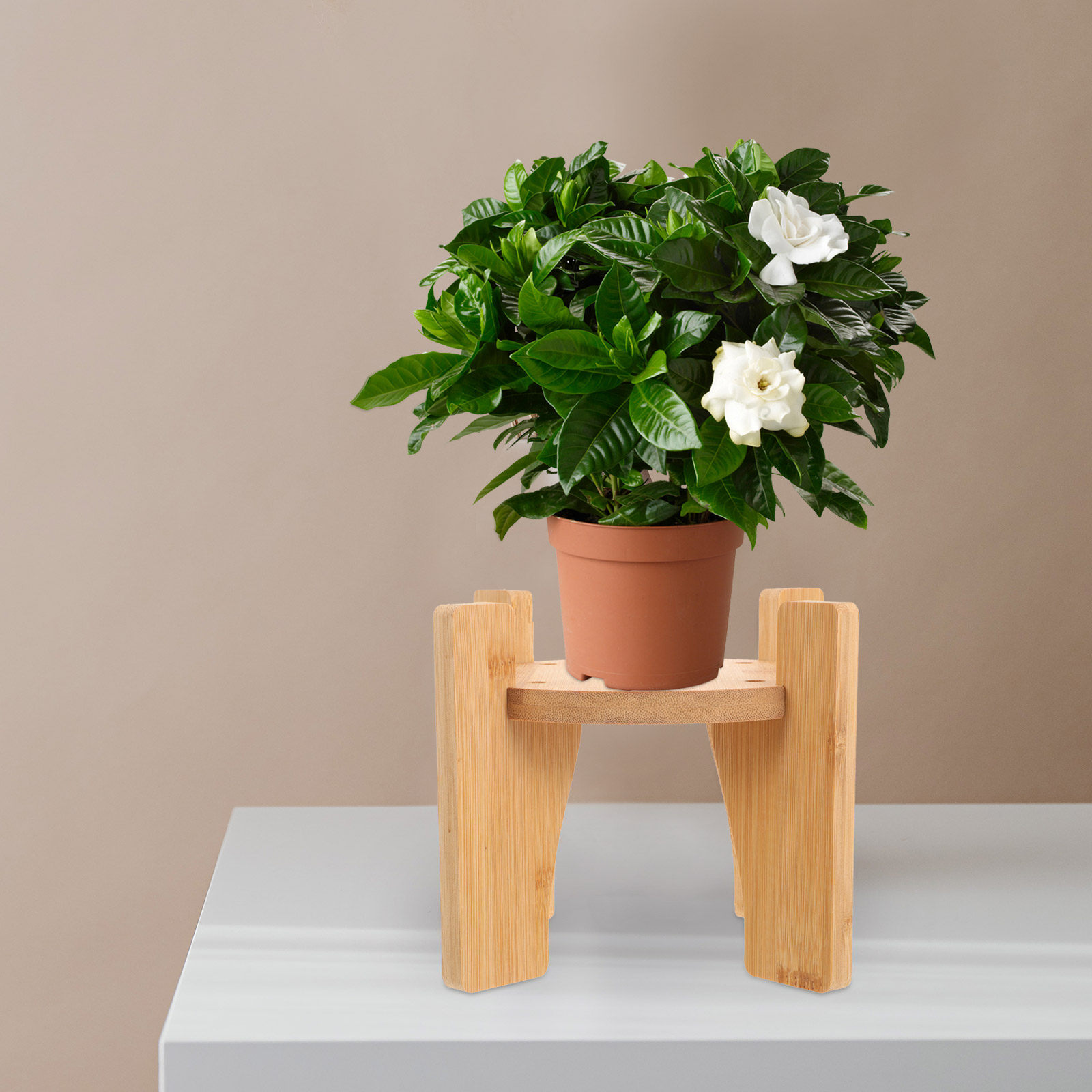 Planted Tank - ขาตั้งเครื่องจ่ายเครื่องดื่มไม้ ฐานทรงกลม สำหรับเครื่องจ่ายเครื่องดื่ม กาน้ำชา แจกัน ตู้ปลา
