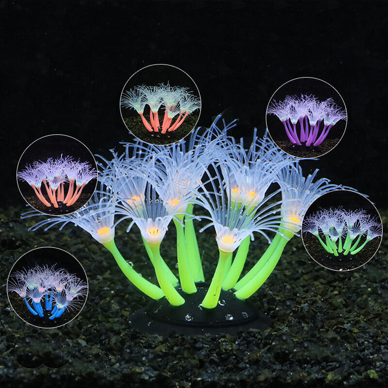 ซิลิโคนเรืองแสงตกแต่งตู้ปลา ปล - Aquarium Plant Substrate บทวิจารณ์และราคา