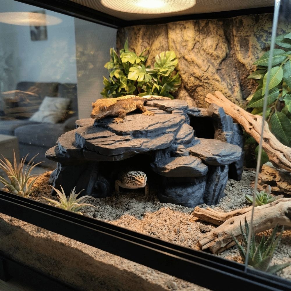 ของตกแต่งตู้ปลาแบบ 3 มิติ รูปท - Aquarium Driftwood บทวิจารณ์และราคา