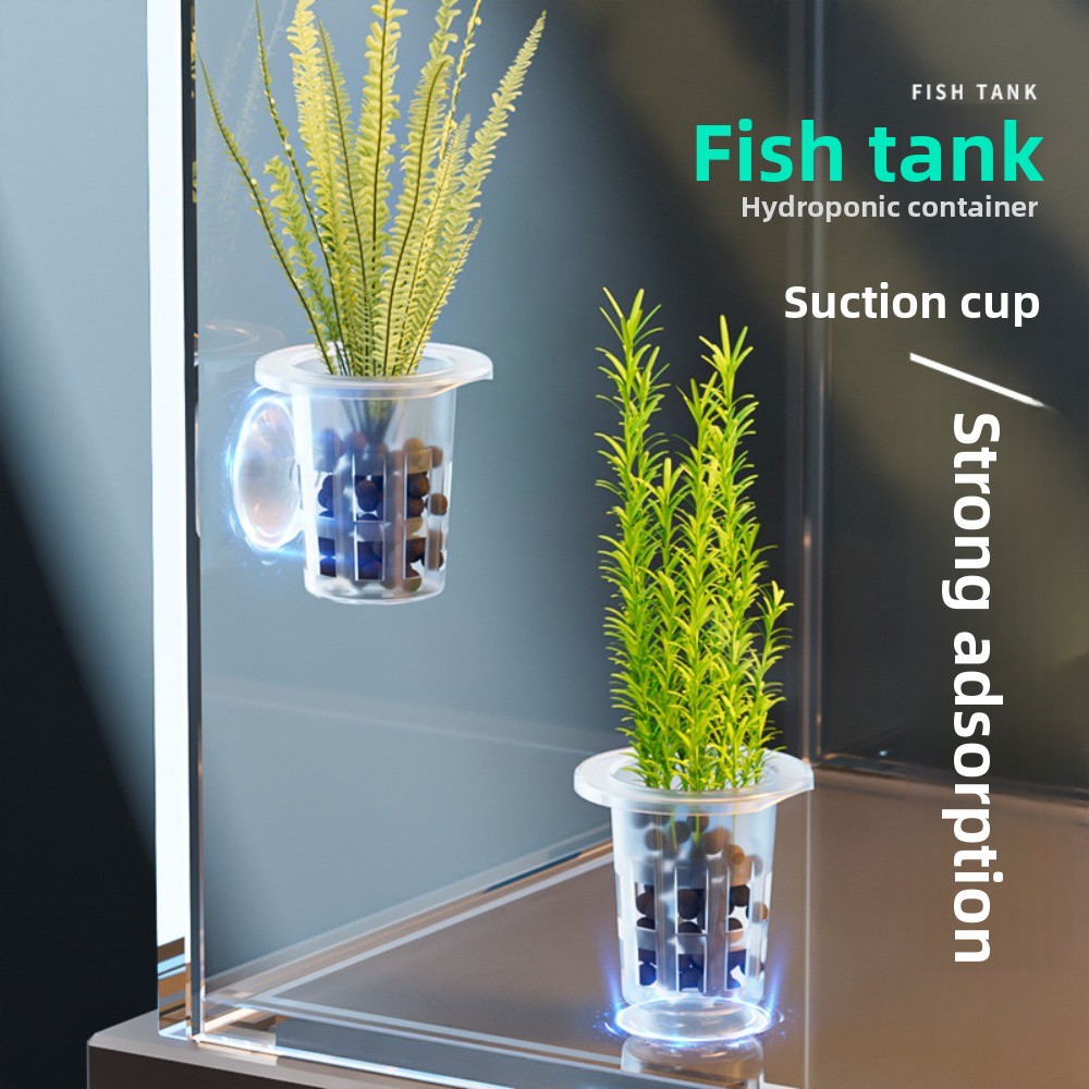 กระถางปลูกพืชแบบไฮโดรโปนิกส์ใส - Plant Aquarium Pot บทวิจารณ์และราคา