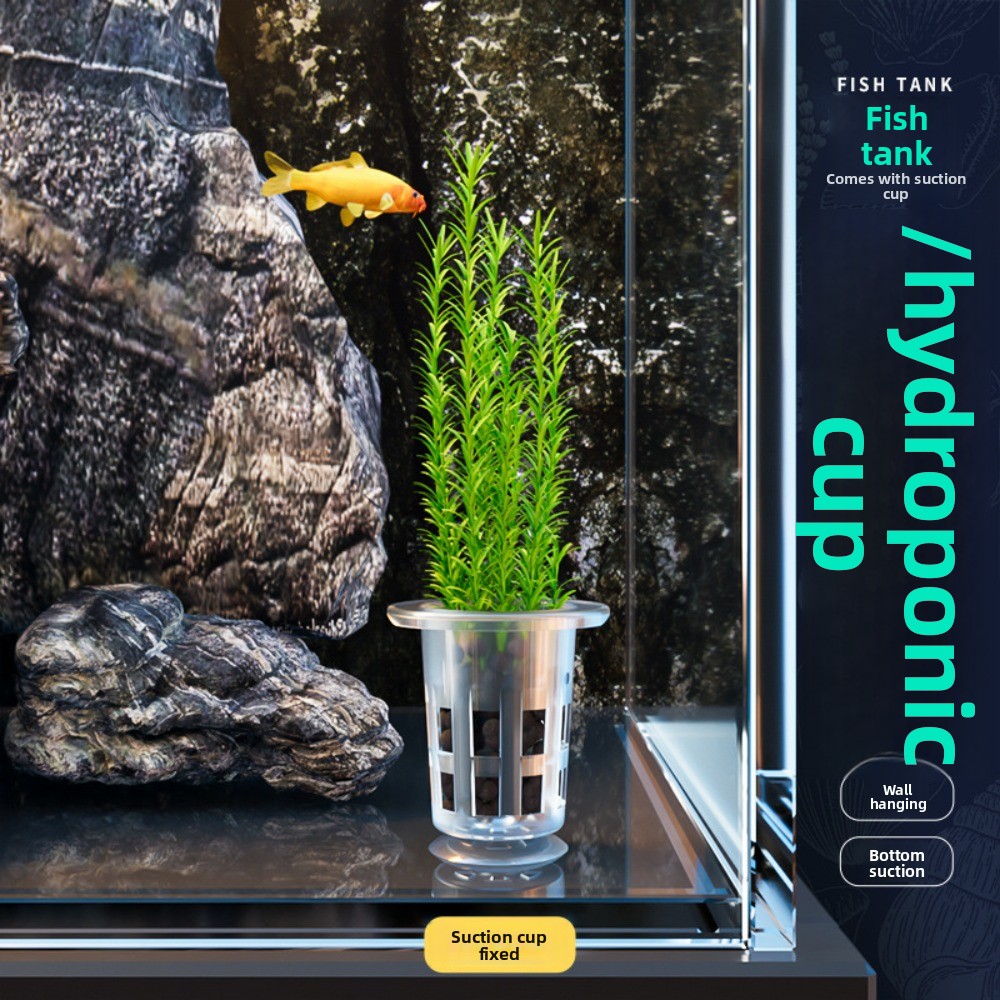 กระถางปลูกพืชแบบไฮโดรโปนิกส์ใส - Plant Aquarium Pot บทวิจารณ์และราคา