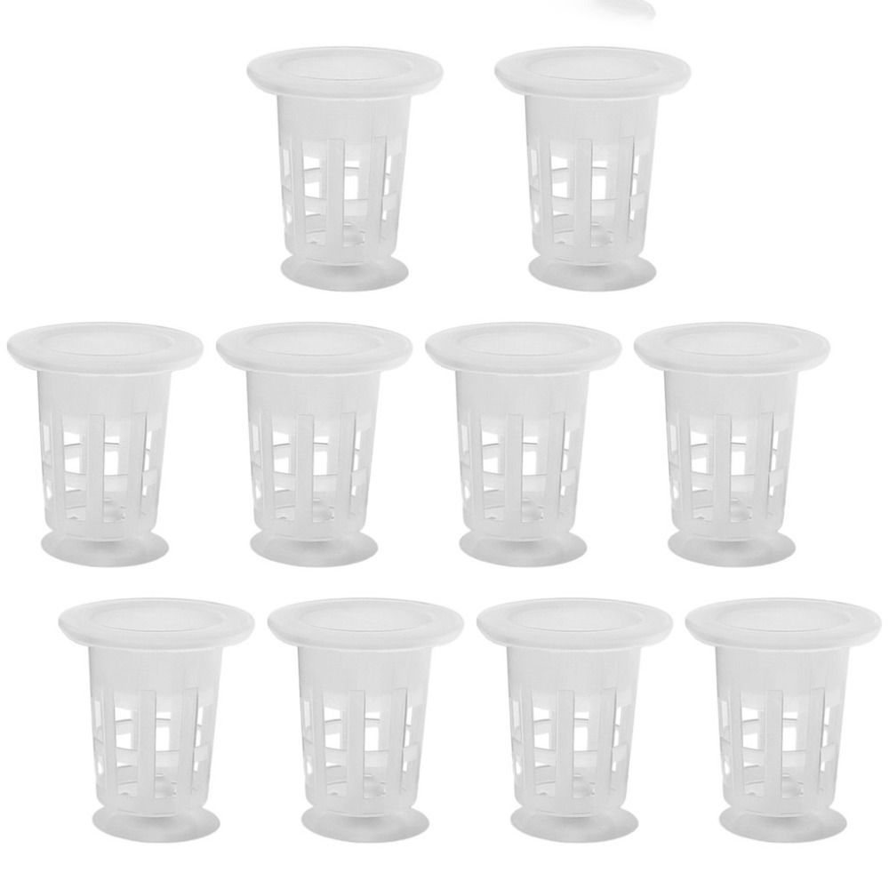 กระถางปลูกพืชแบบไฮโดรโปนิกส์ใส - Plant Aquarium Pot บทวิจารณ์และราคา