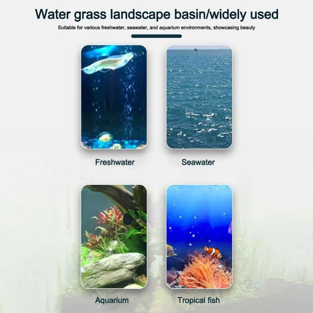 กระถางปลูกพืชแบบไฮโดรโปนิกส์ใส - Plant Aquarium Pot บทวิจารณ์และราคา