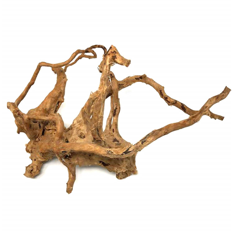 ไม้ลอยน้ำตกแต่งตู้ปลา ไม้ขัดเง - Aquarium Driftwood บทวิจารณ์และราคา