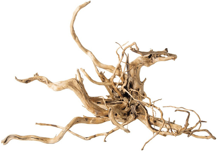 ไม้ลอยน้ำตกแต่งตู้ปลา ไม้ขัดเง - Aquarium Driftwood บทวิจารณ์และราคา