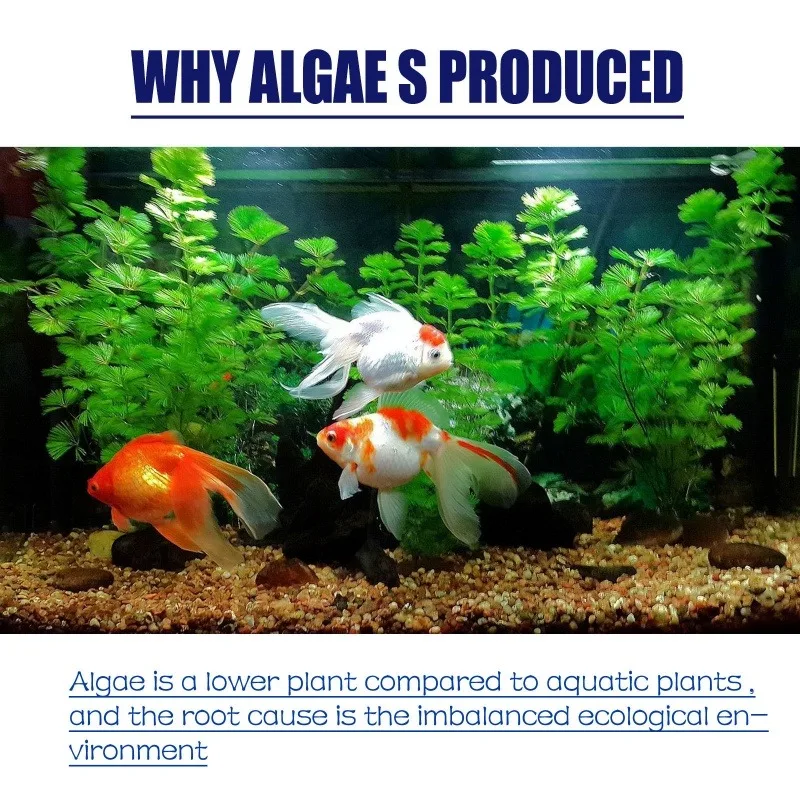 สารกำจัดสาหร่ายประสิทธิภาพสูง  - Aquarium Fertilizer บทวิจารณ์และราคา