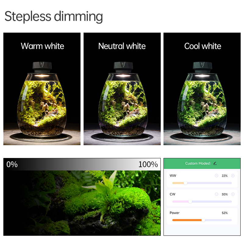 ไฟตกแต่งตู้ไม้น้ำแบบ COB พร้อม - Planted Tank บทวิจารณ์และราคา
