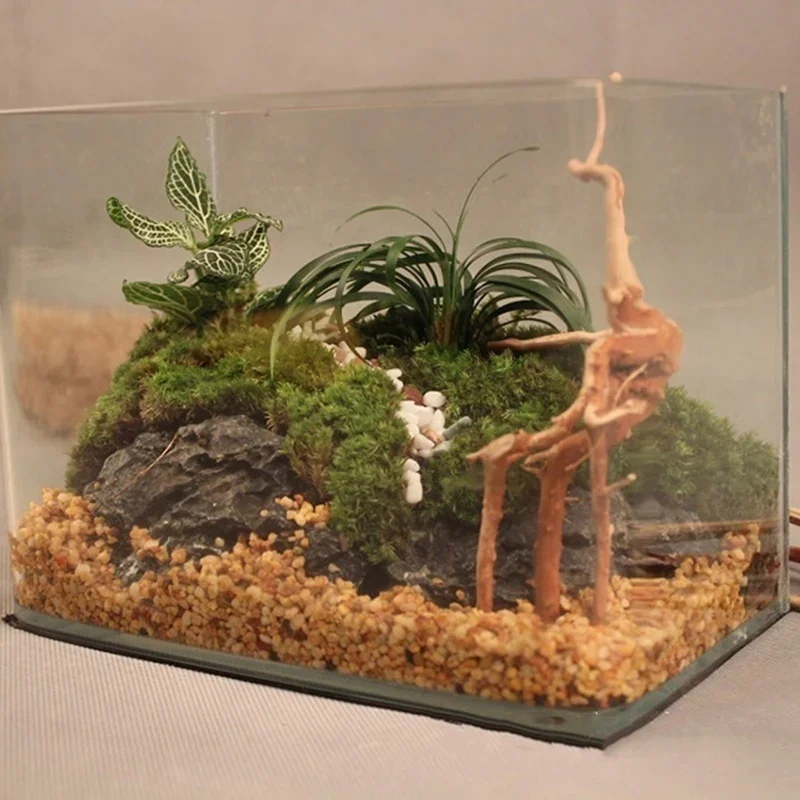 ต้นไม้ธรรมชาติลำต้นไม้ดริฟท์วู - Aquarium Driftwood บทวิจารณ์และราคา