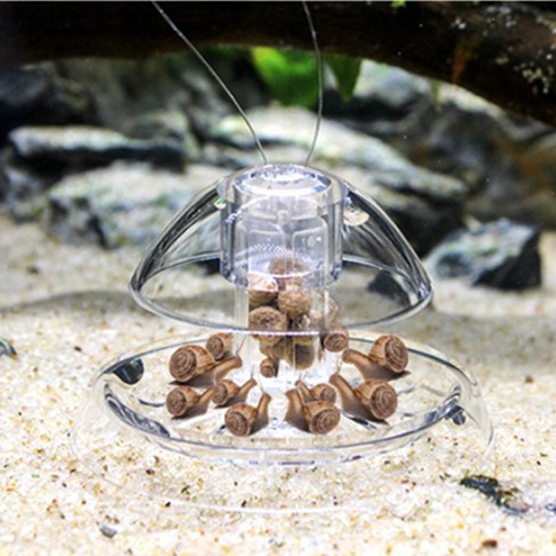 1PCS Fish TANK Aquarium CLEANE - Planted Aquarium Cleaning บทวิจารณ์และราคา