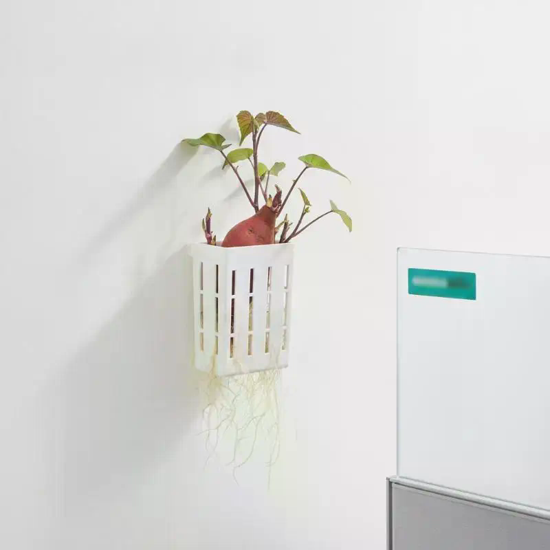 ตะกร้าปลูกพืชแบบไฮโดรโพนิก 1 ช - Aquarium Plant Holder บทวิจารณ์และราคา