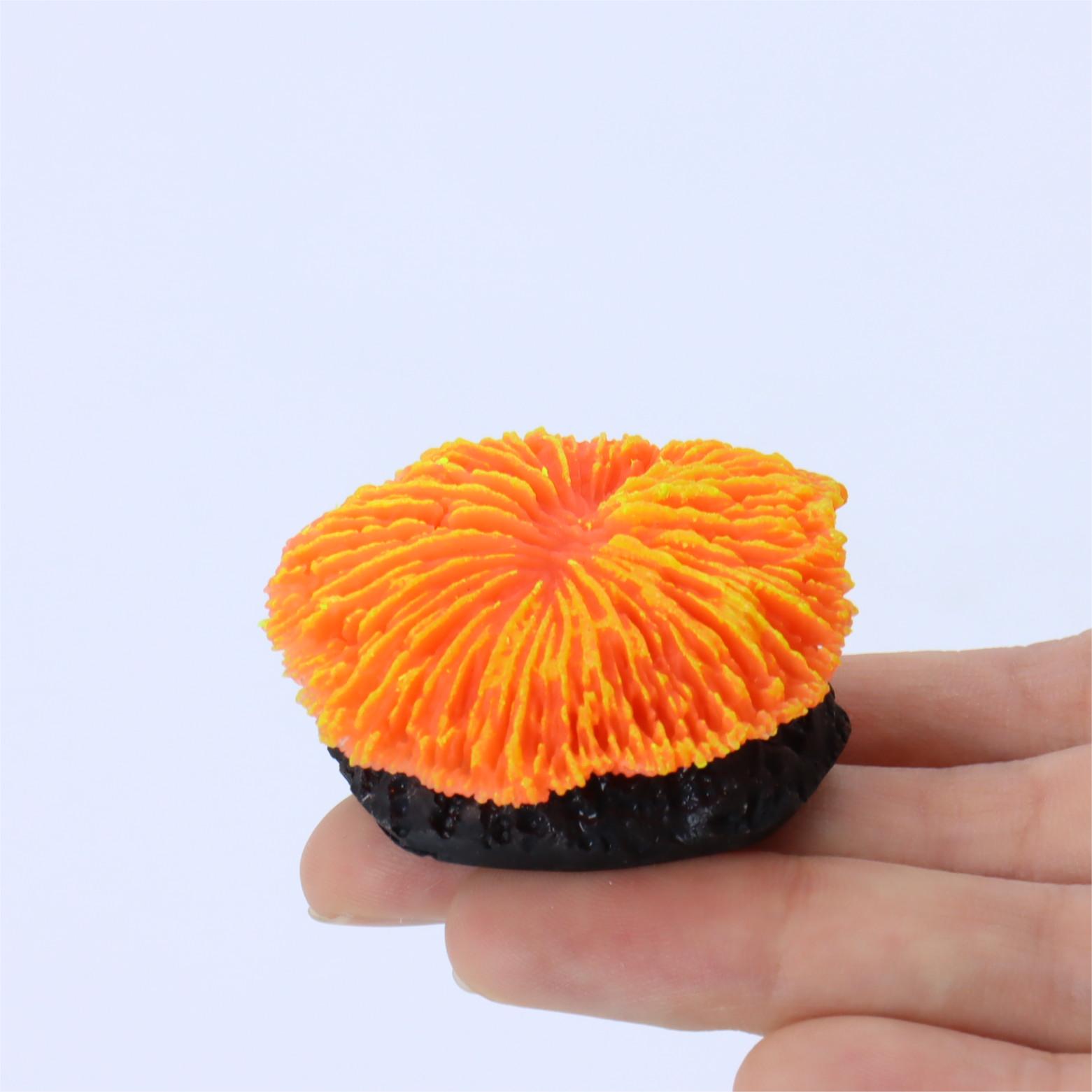 1 ชิ้น ของตกแต่งตู้ปลา ปะการัง - Live Plant Aquarium บทวิจารณ์และราคา