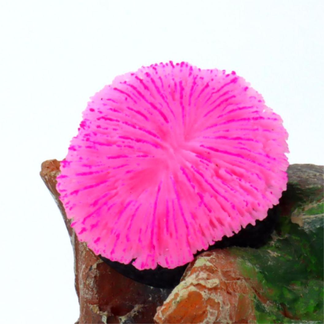 1 ชิ้น ของตกแต่งตู้ปลา ปะการัง - Live Plant Aquarium บทวิจารณ์และราคา