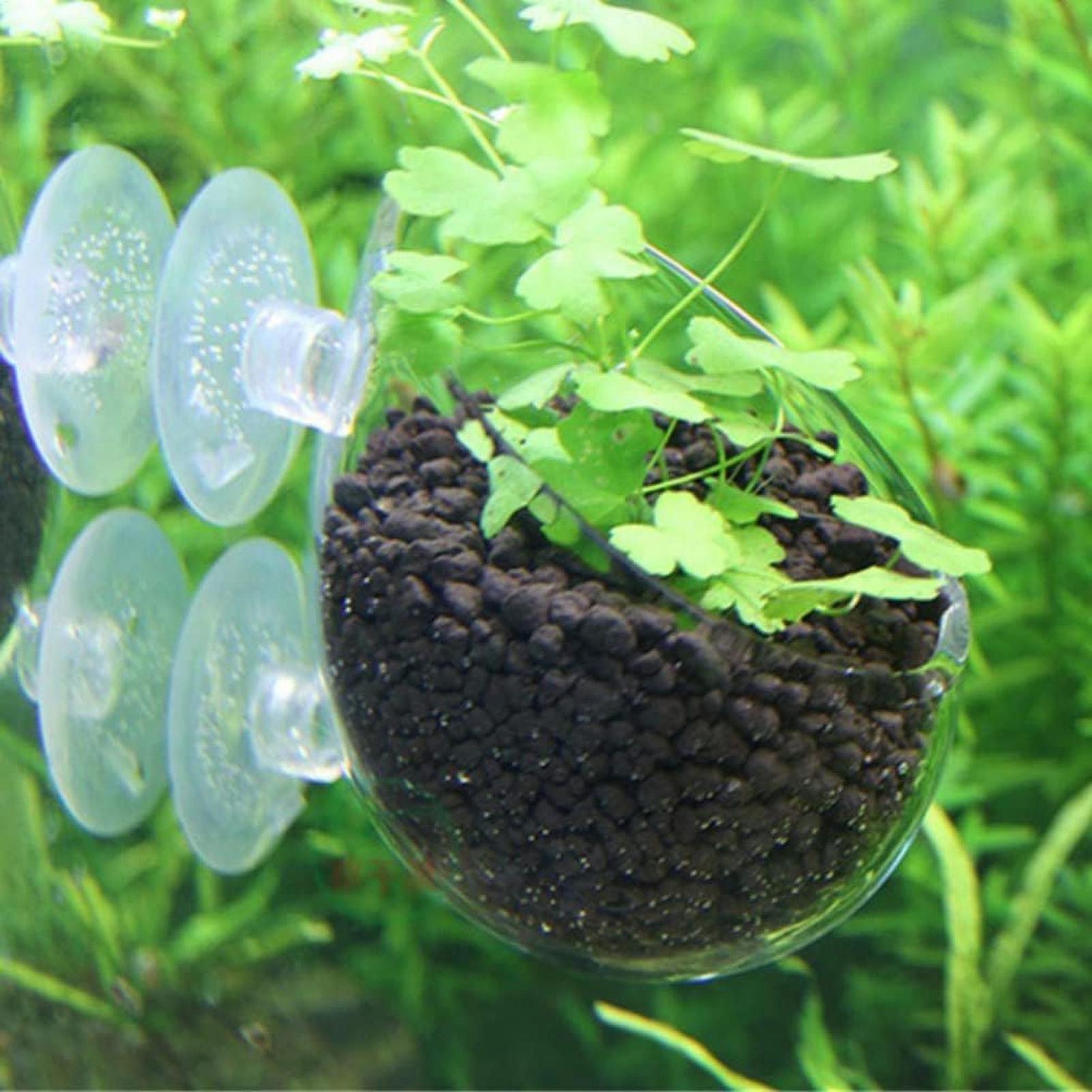 ที่วางต้นไม้ในตู้ปลา กระถางแก้ - Plant Aquarium Pot บทวิจารณ์และราคา