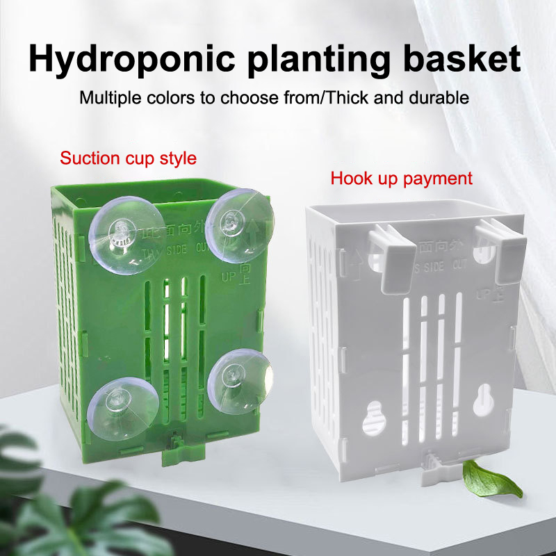 แขวนถ้วยดูด Hook Aquarium Hold - Aquarium Plant Holder บทวิจารณ์และราคา