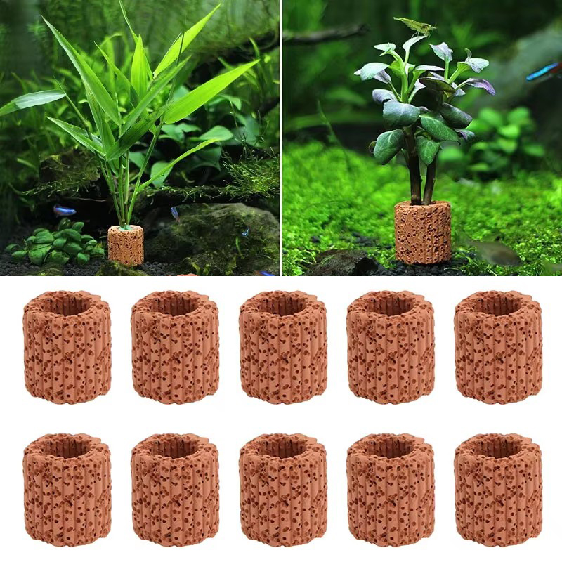 พืชน้ําแหวนคงที่สําหรับพิพิธภั - Plant Aquarium Pot บทวิจารณ์และราคา