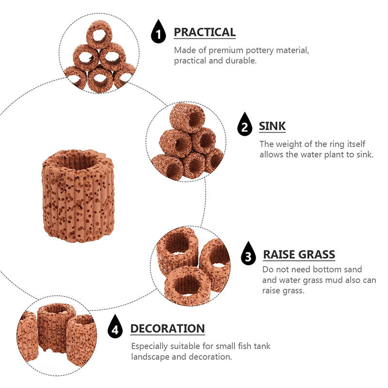 พืชน้ําแหวนคงที่สําหรับพิพิธภั - Plant Aquarium Pot บทวิจารณ์และราคา