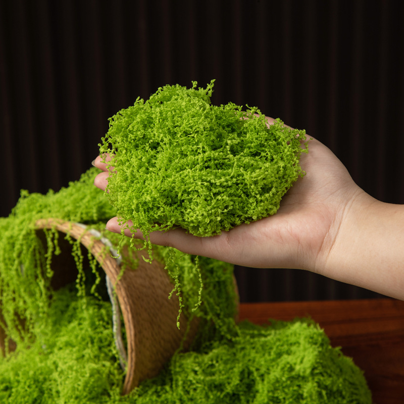 มอสอมตะ 200 กรัม สำหรับงาน DIY - Aquarium Moss บทวิจารณ์และราคา