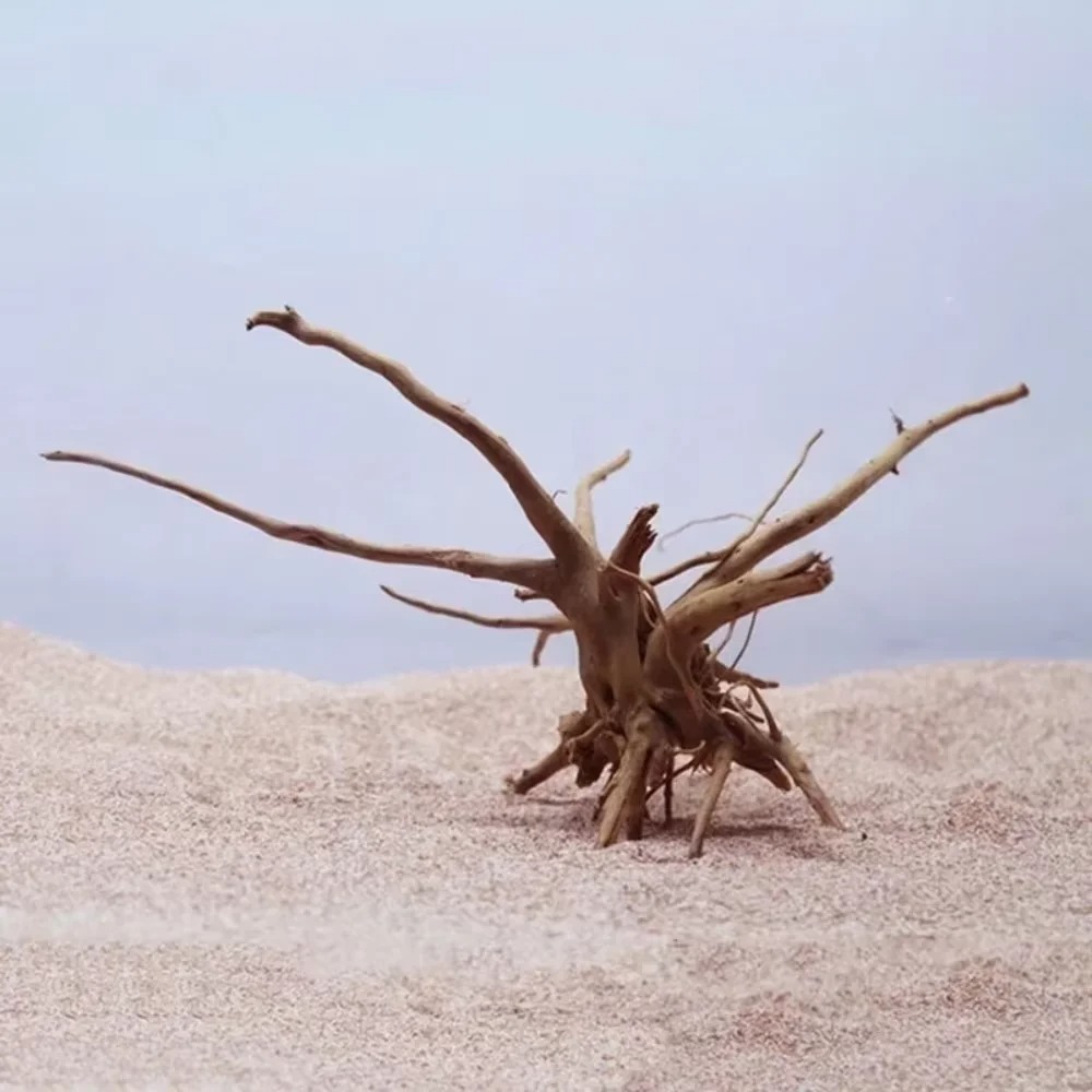 ไม้ลอยน้ำธรรมชาติขนาด 15-20 ซม - Aquarium Driftwood บทวิจารณ์และราคา
