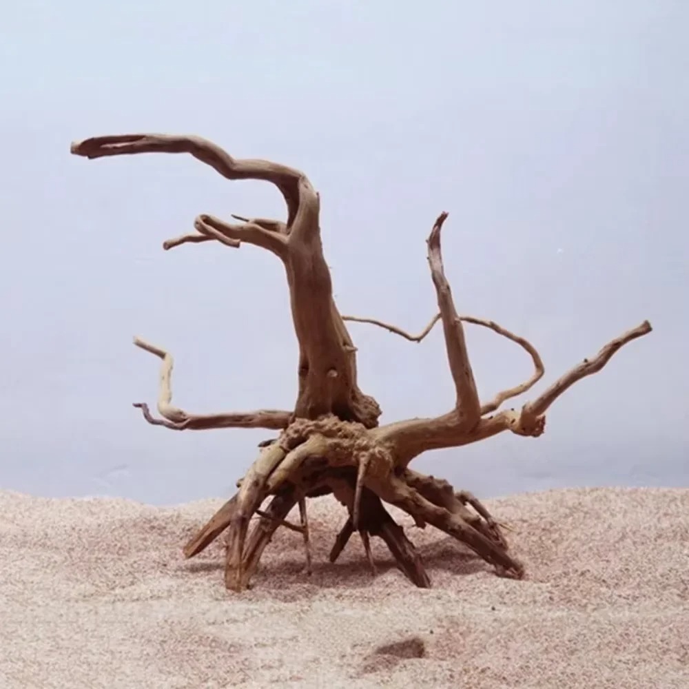 ไม้ลอยน้ำธรรมชาติขนาด 15-20 ซม - Aquarium Driftwood บทวิจารณ์และราคา