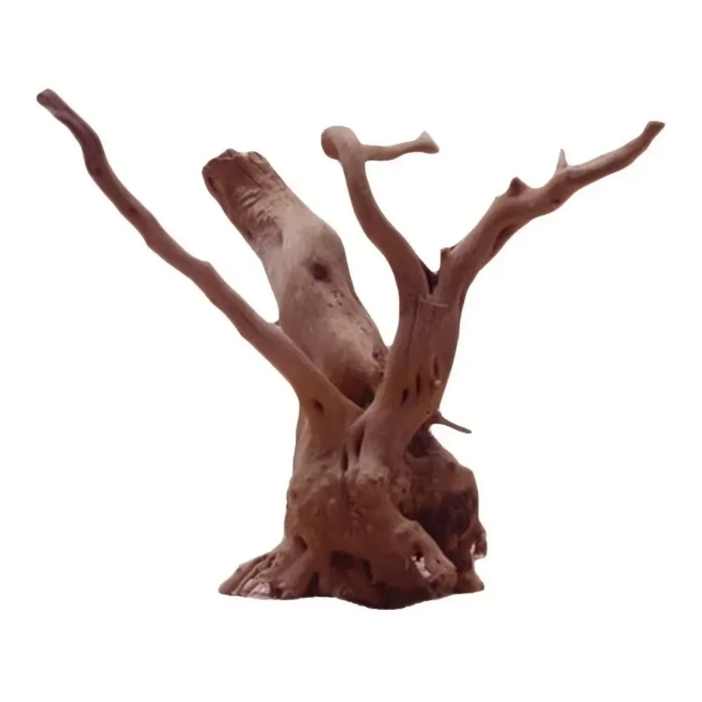 ไม้ลอยน้ำธรรมชาติขนาด 15-20 ซม - Aquarium Driftwood บทวิจารณ์และราคา