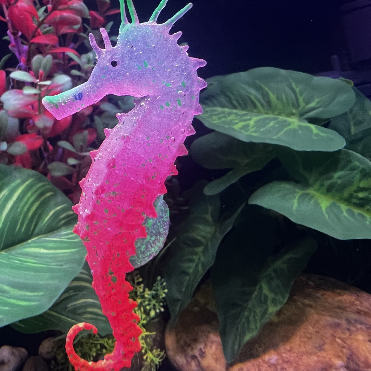 ของตกแต่งตู้ปลาจำลองรูปม้าน้ำเ - Aquarium Plant Substrate บทวิจารณ์และราคา