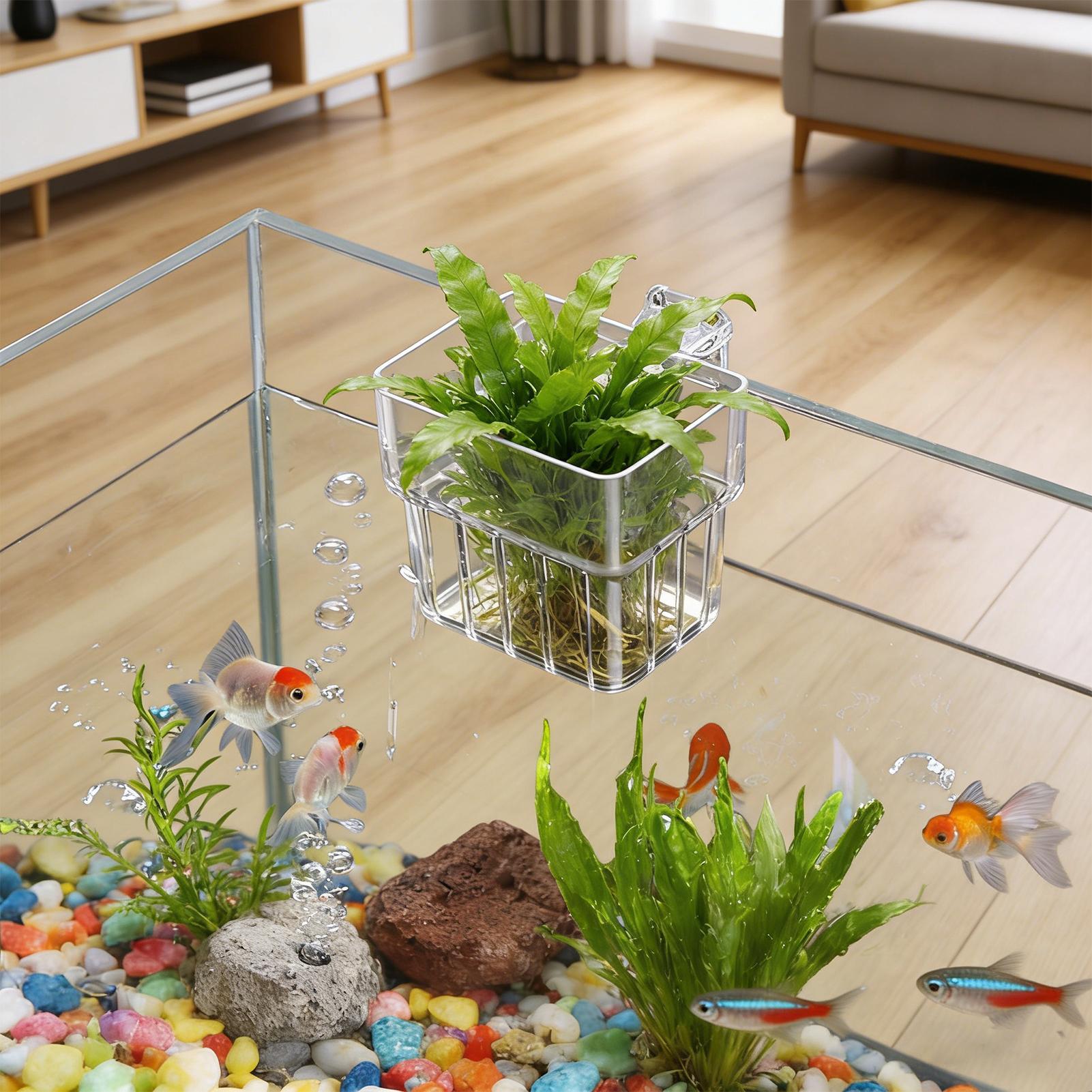 ตะกร้าปลูกต้นไม้แบบติดผนังสำหร - Aquarium Plants Live บทวิจารณ์และราคา