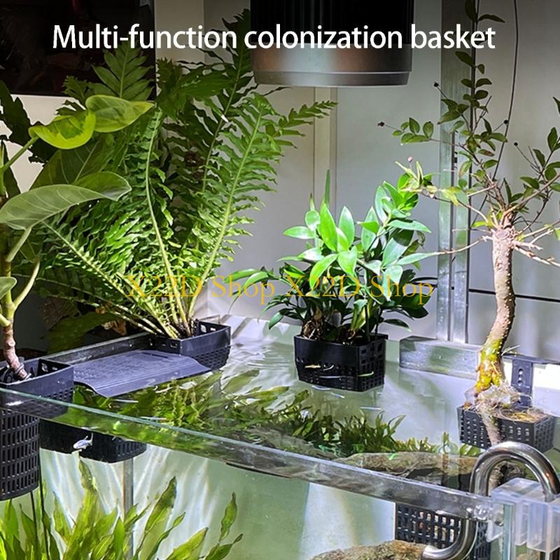 X22D โมเดิร์นสไตล์โบราณแนวตั้ง - Aquarium Plant Holder บทวิจารณ์และราคา