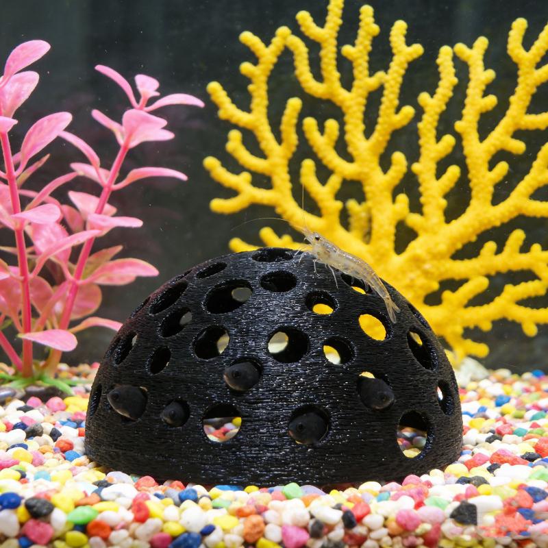 ถ้ำซ่อนในตู้ปลาสำหรับปลาขนาดเล - Aquarium Plants Live บทวิจารณ์และราคา