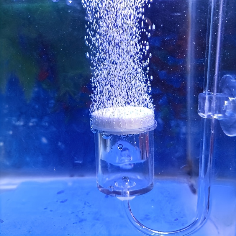 Aquarium Glass CO2 Atomizer Di - Aquarium Liquid Carbon บทวิจารณ์และราคา