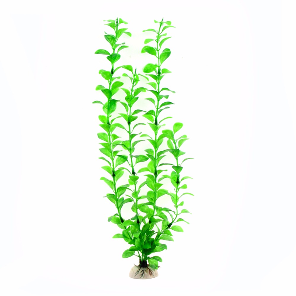 เครื่องประดับอุปกรณ์ตู้ปลาพืชใ - Live Plant Aquarium บทวิจารณ์และราคา