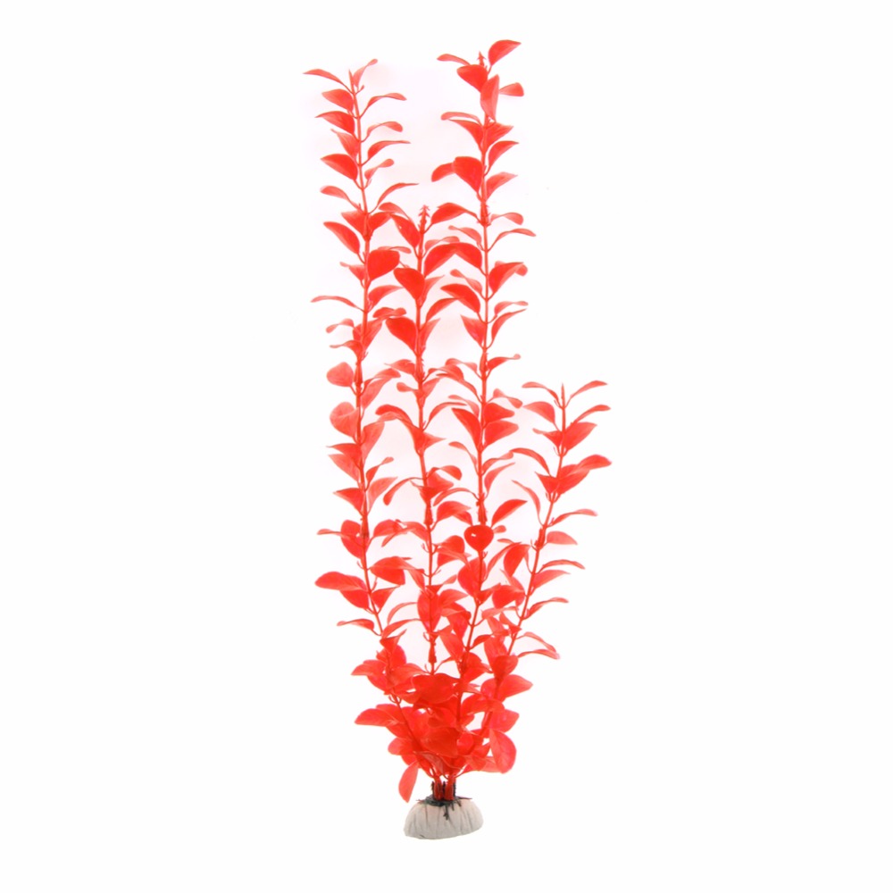 เครื่องประดับอุปกรณ์ตู้ปลาพืชใ - Live Plant Aquarium บทวิจารณ์และราคา