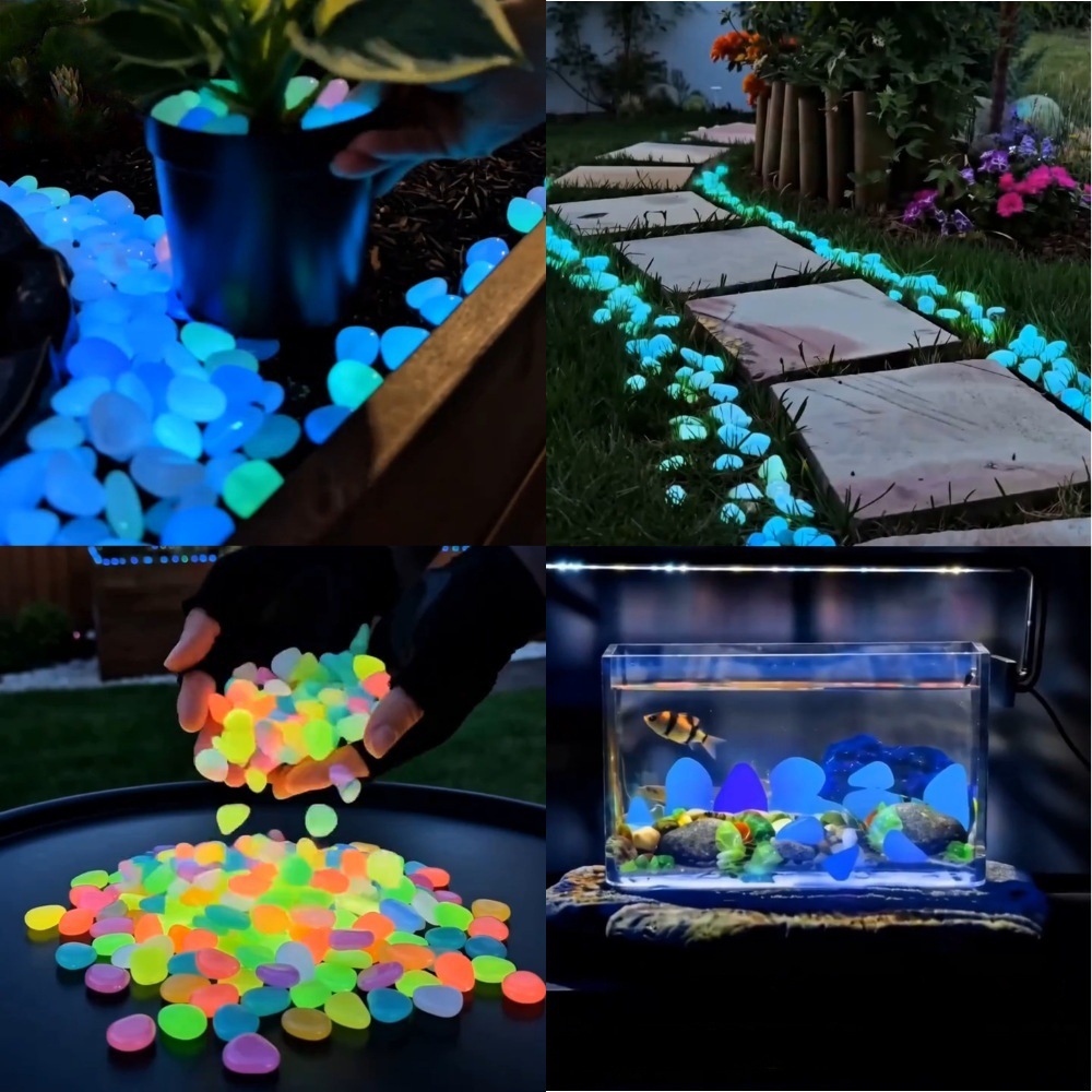 หินเรืองแสงหลากสีสันสำหรับตกแต - Plant Aquarium Pot บทวิจารณ์และราคา