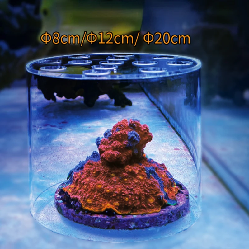 อุปกรณ์ป้อนอาหารปะการังอะคริลิ - Aquarium Fertilizer บทวิจารณ์และราคา