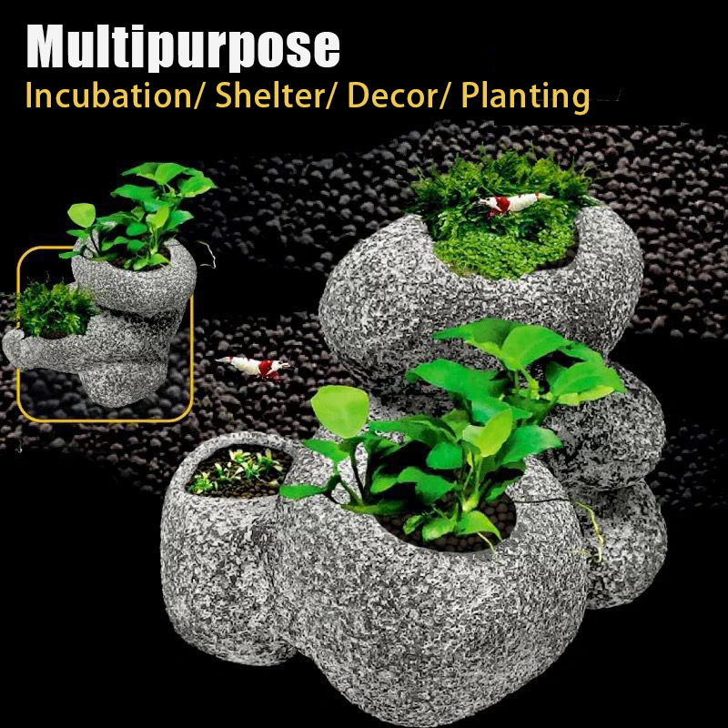 ปลากุ้ง Incubation Shelter Cav - Plant Aquarium Pot บทวิจารณ์และราคา